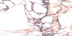 Плитка Laparet Calacatta Viola Калакатта Виола  глянц. рект. арт LP6012B0160R (60х119,5)